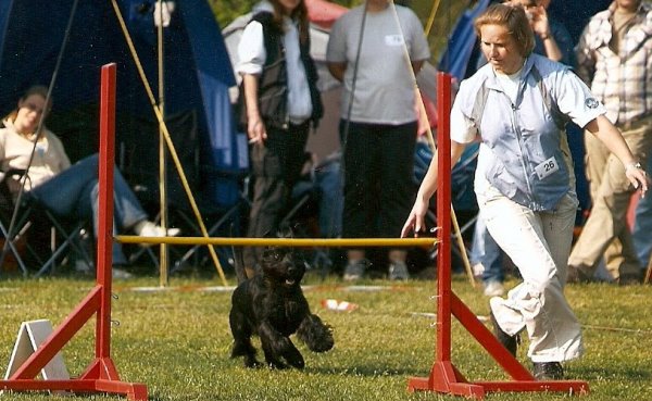 Team Miro und Tanja.jpg